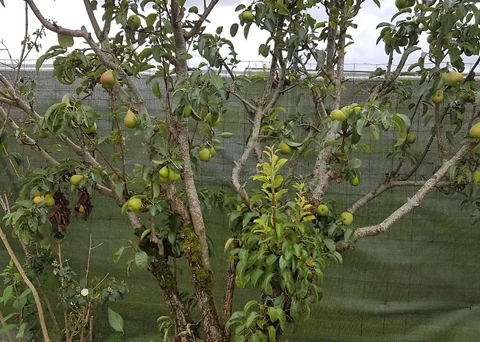 Appartamento Maison Vintage De Plain Pied Avec Climatisation *